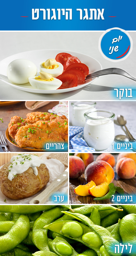 אתגר היוגורט יום שני