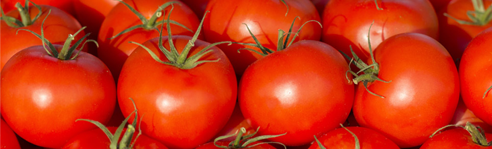 צריכה מומלצת של פיטוסטרולים