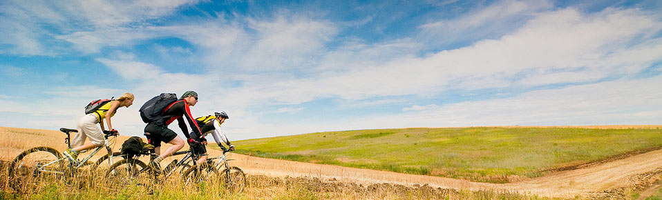 ברוכים הבאים לעולם היוגורט של דנונה