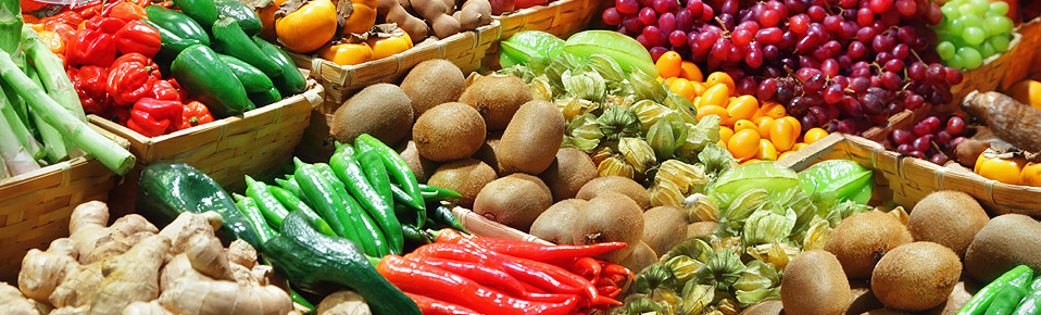 הטיפול הלא-תרופתי להורדת רמת הכולסטרול